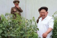 Korea Utara Jadikan Mayat Sebagai Pupuk